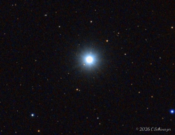 Vega